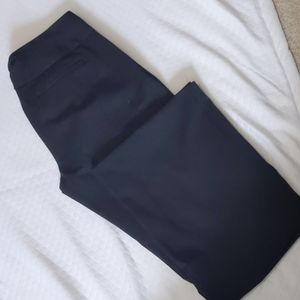 Express editor dress pants